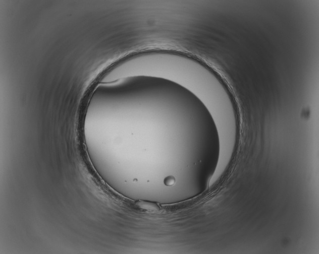 X0000116560391200912311937