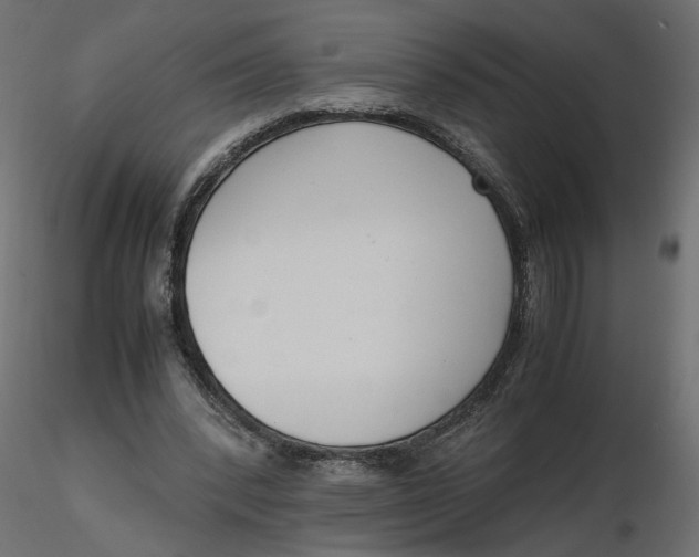 X0000116560392200912311937