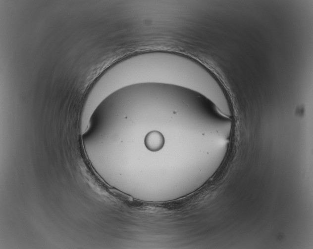 X0000116560393200912311937