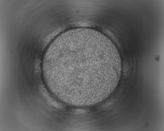 X0000116560394200912311937