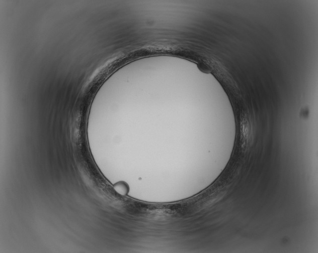 X0000116560396200912311937