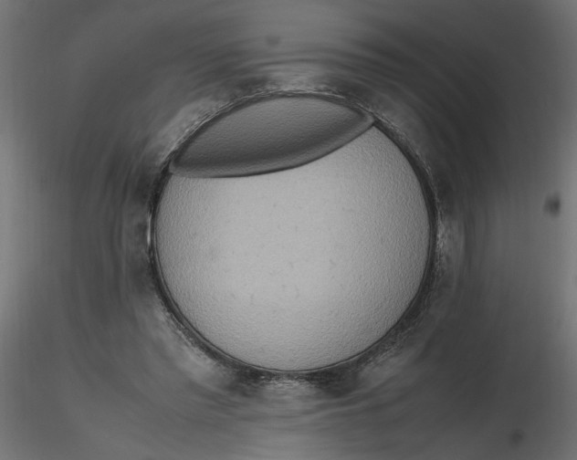 X0000116560397200912311937