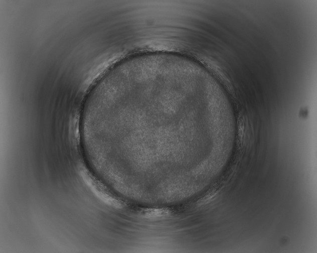 X0000116560398200912311937