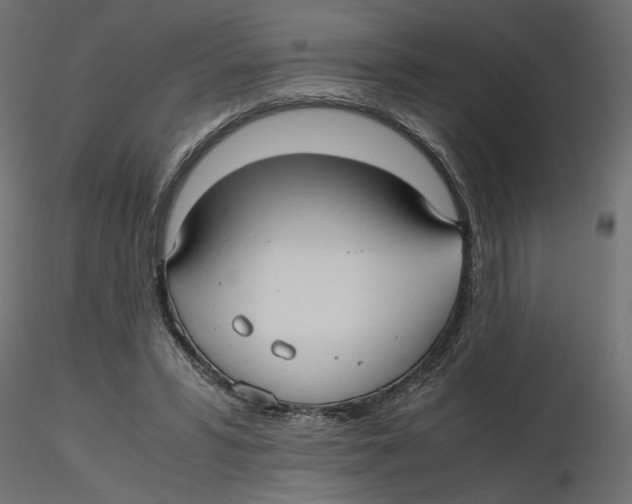 X0000116560399200912311937