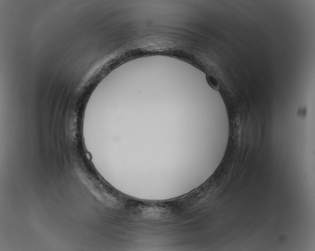 X0000116560400200912311937