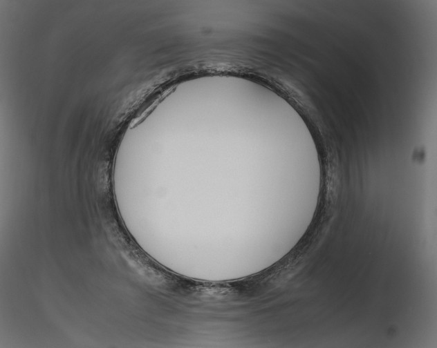 X0000116560401200912311937