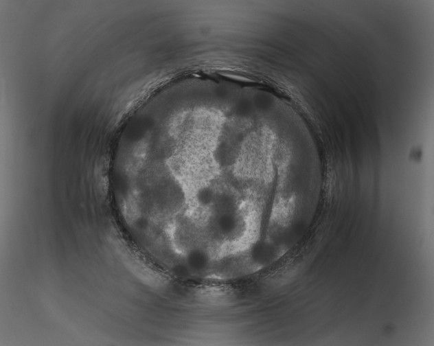 X0000116560402200912311937