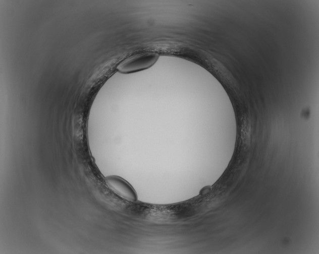 X0000116560403200912311937