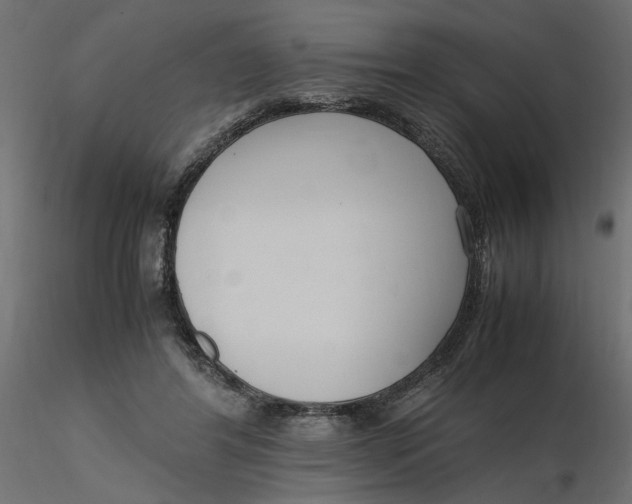 X0000116560404200912311937