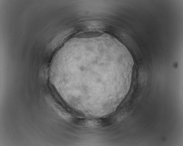 X0000116560405200912311937