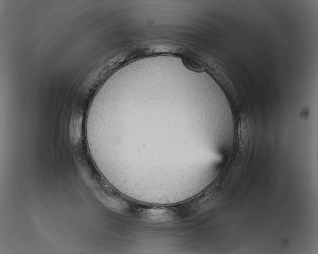 X0000116560406200912311937