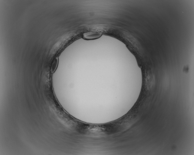 X0000116560407200912311937