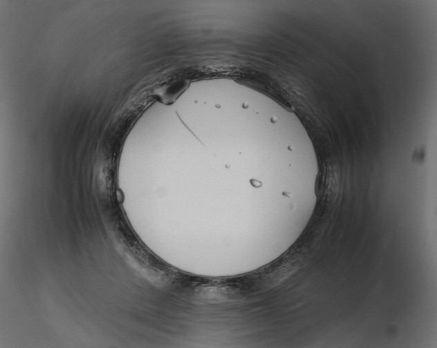 X0000116560408200912311937