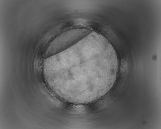 X0000116560409200912311937