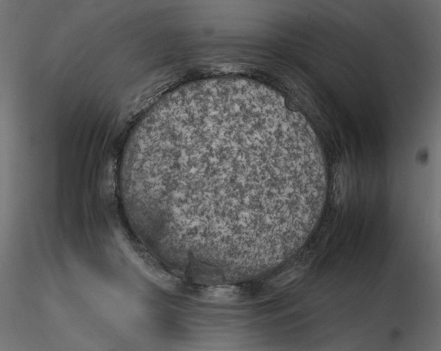 X0000116560410200912311937