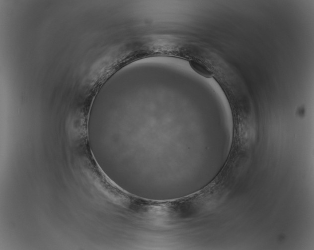 X0000116560411200912311937