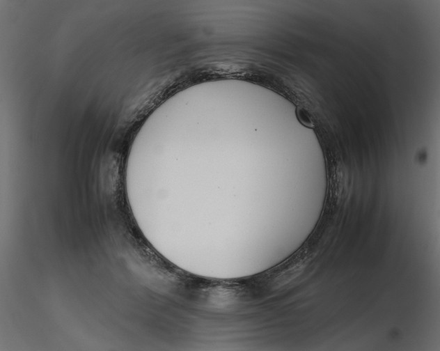 X0000116560412200912311936