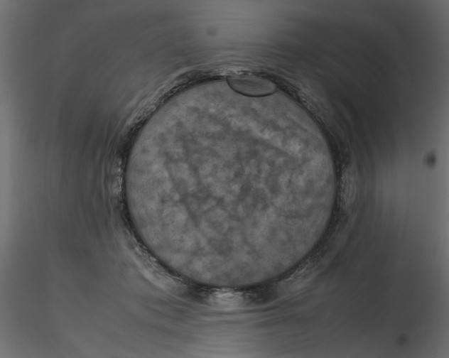 X0000116560413200912311936