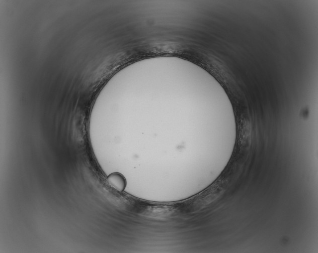 X0000116560414200912311936