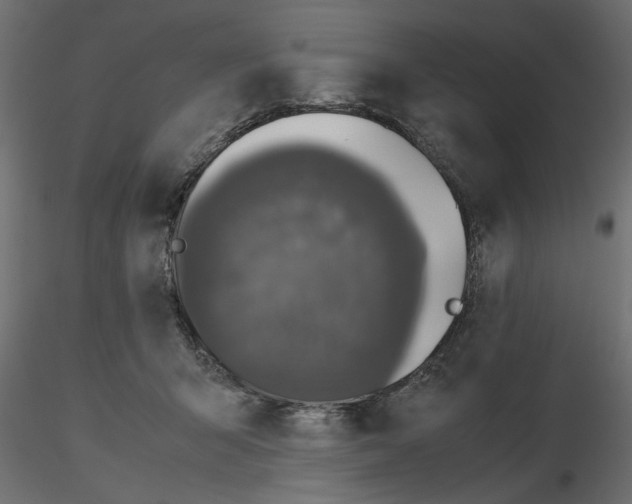 X0000116560415200912311936