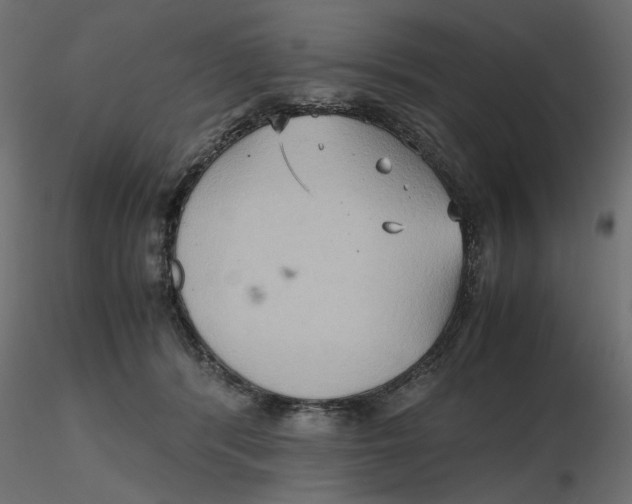 X0000116560416200912311936