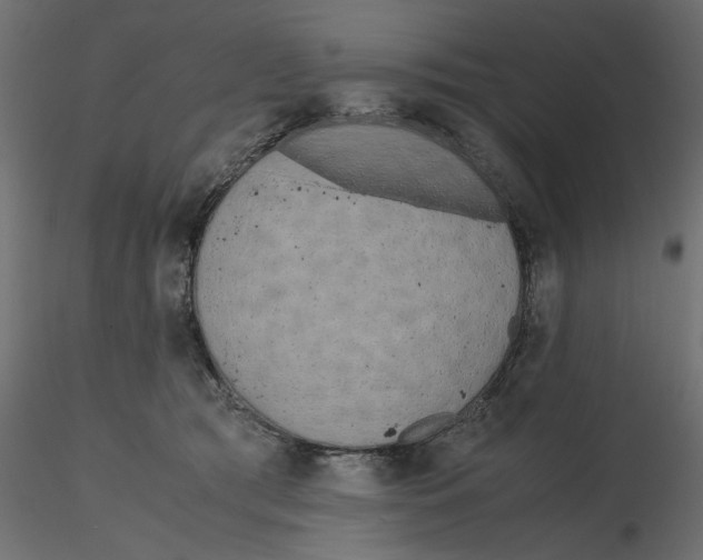 X0000116560417200912311936