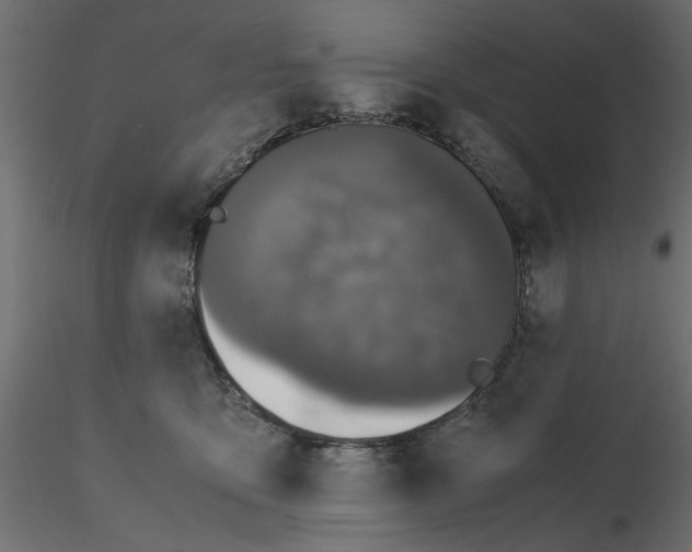 X0000116560419200912311936