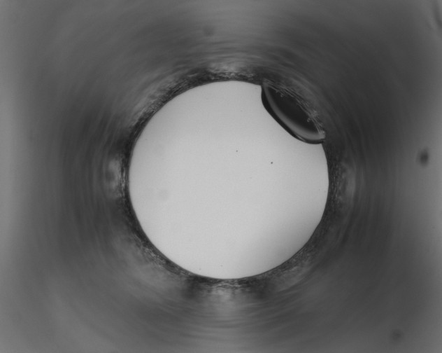 X0000116560420200912311936