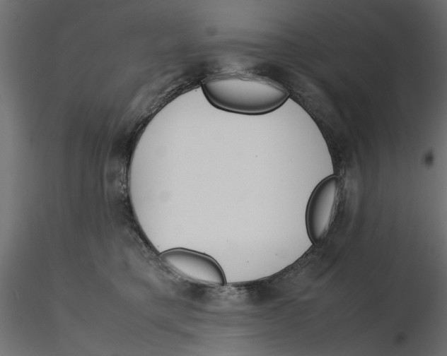 X0000116560421200912311936