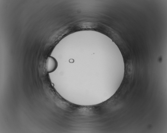 X0000116560422200912311936