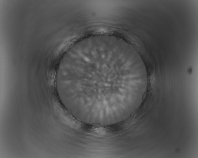 X0000116560423200912311936