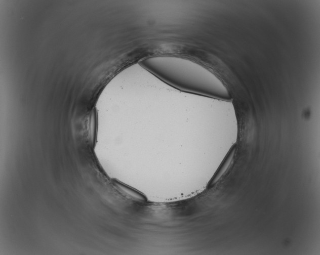 X0000116560425200912311936