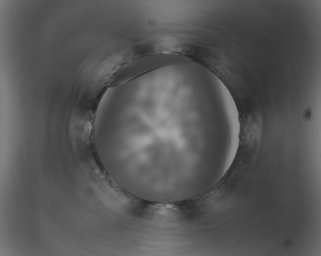 X0000116560427200912311936