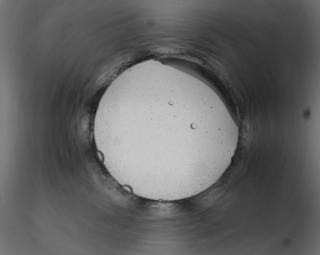 X0000116560428200912311936