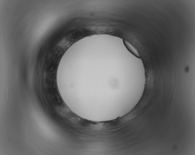 X0000116560430200912311936