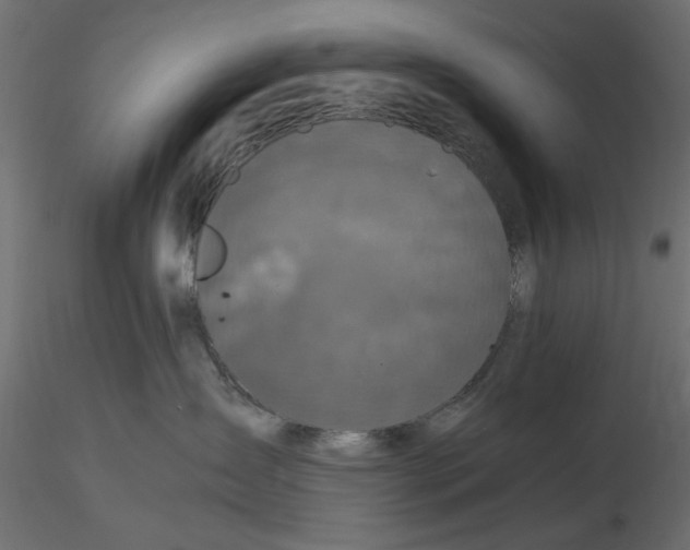 X0000116560431200912311936