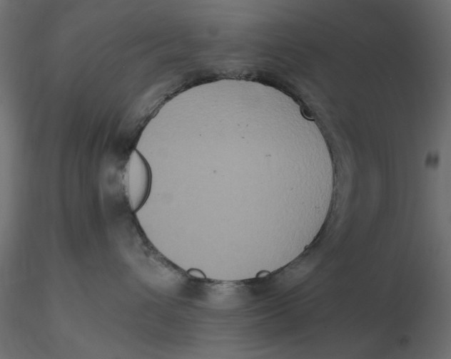 X0000116560432200912311936