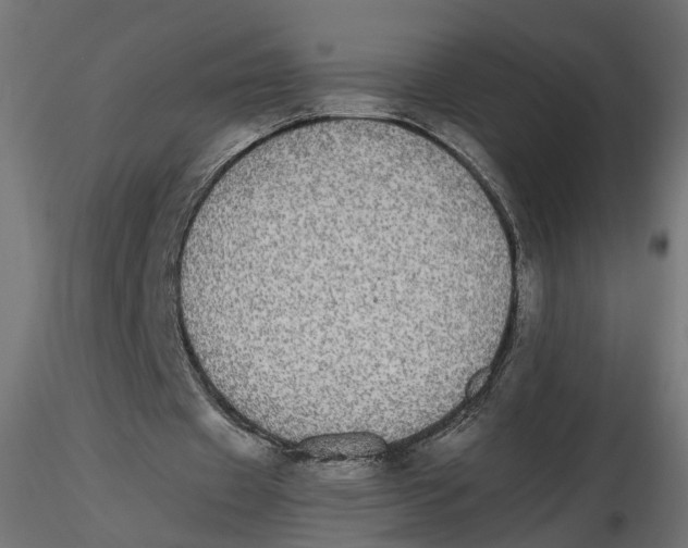 X0000116560433200912311936