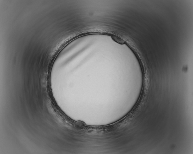 X0000116560434200912311936