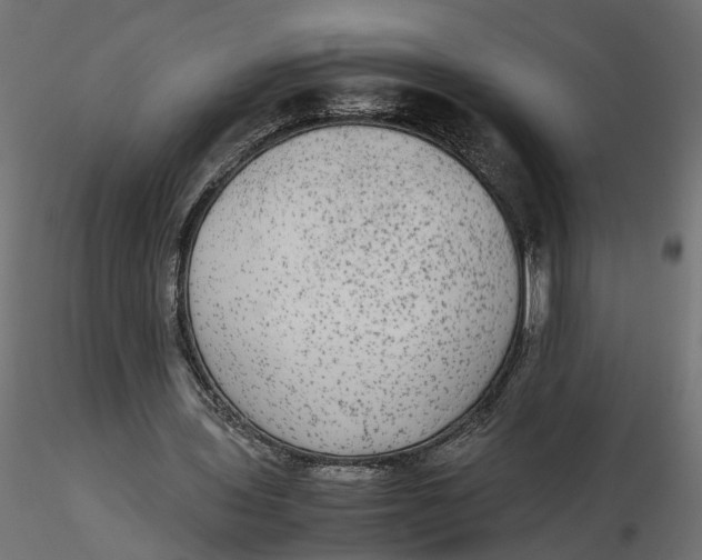 X0000116560435200912311936