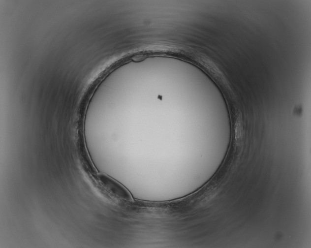 X0000116560436200912311936