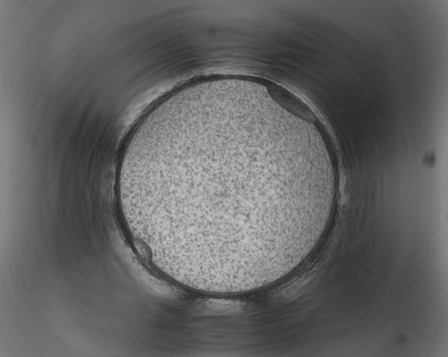 X0000116560437200912311936