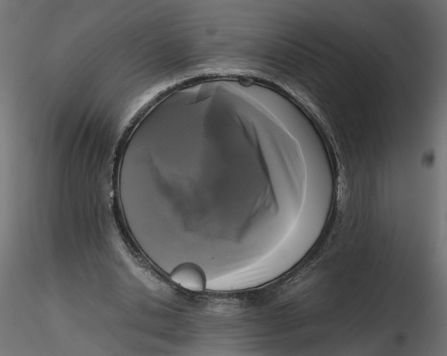 X0000116560438200912311936