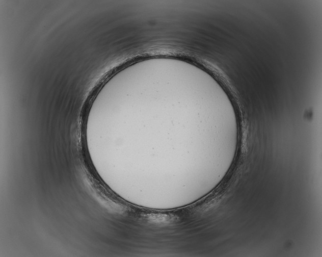 X0000116560439200912311936