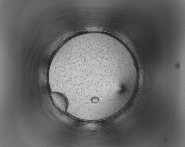 X0000116560441200912311936