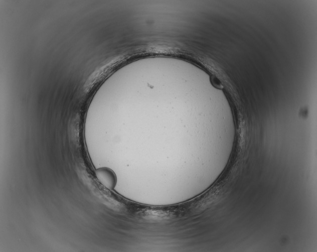 X0000116560442200912311936