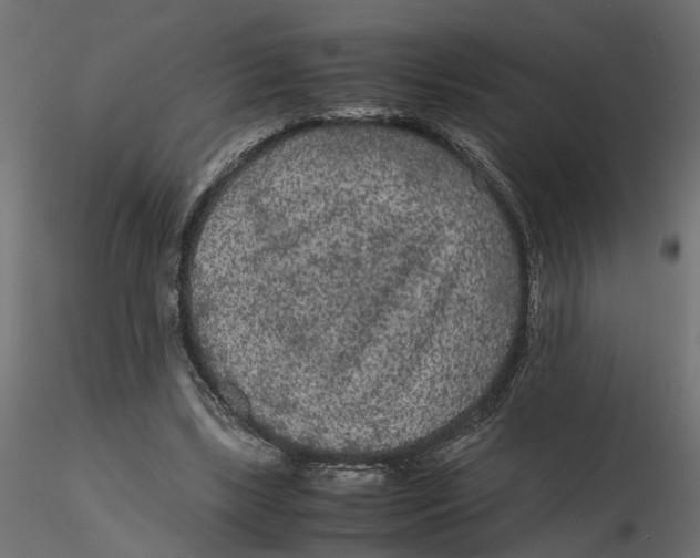 X0000116560443200912311936