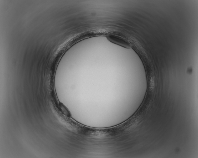 X0000116560444200912311936