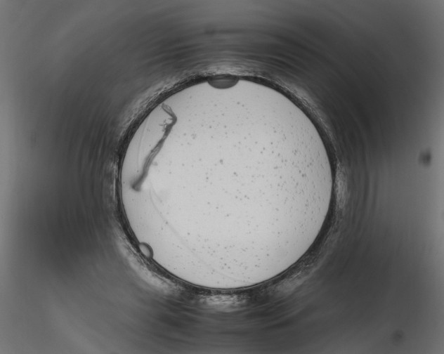 X0000116560445200912311936