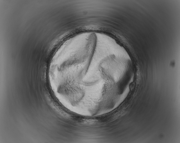 X0000116560446200912311936